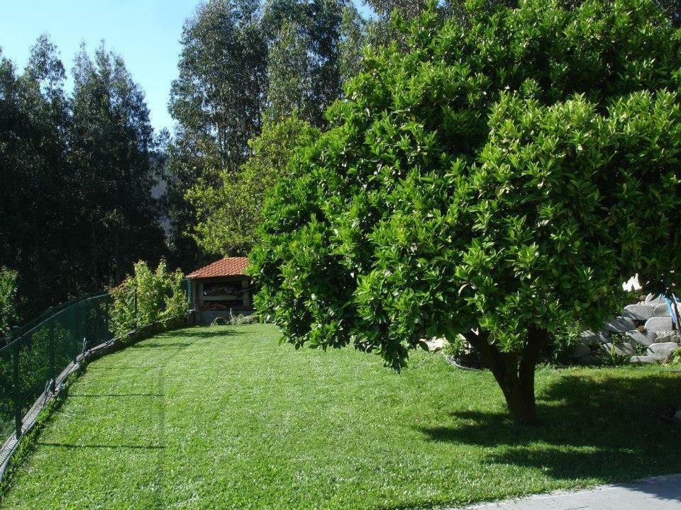 Quinta Da Gaiya Villa Talhadas Buitenkant foto